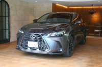 NX