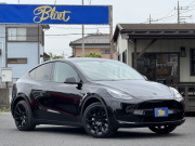 モデルY