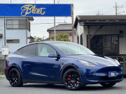 モデルY